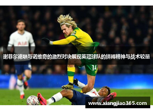 谢菲尔德联与诺维奇的激烈对决展现英冠球队的拼搏精神与战术较量