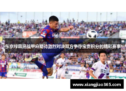 东京绿茵迎战甲府期待激烈对决双方争夺宝贵积分的精彩赛事